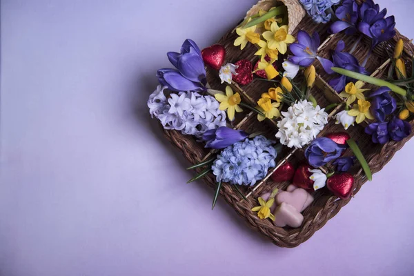 Composición Flores Frescas Colores Canasta Madera — Foto de Stock