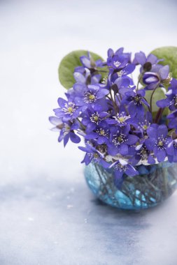 lekeli arka planda vazo menekşe çiçekler yakın 