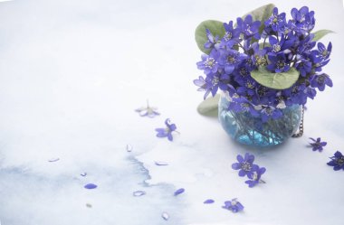 lekeli arka planda vazo menekşe çiçekler yakın 