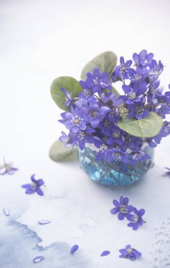 lekeli arka planda vazo menekşe çiçekler yakın 