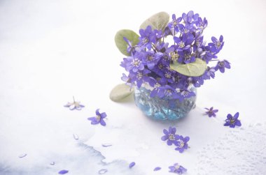 lekeli arka planda vazo menekşe çiçekler yakın 