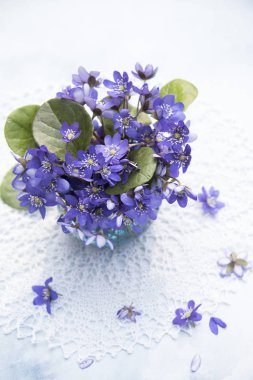 lekeli arka planda vazo menekşe çiçekler yakın 