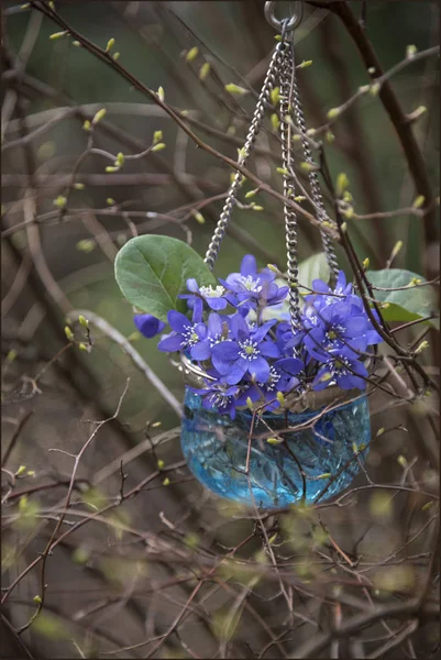 close up of violet flowers hanging in vase