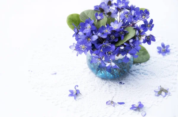 Gros Plan Fleurs Violettes Vase Sur Fond Teinté — Photo