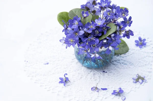 Gros Plan Fleurs Violettes Vase Sur Fond Teinté — Photo