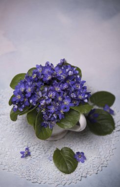 lekeli arka planda menekşe çiçekler yakın 