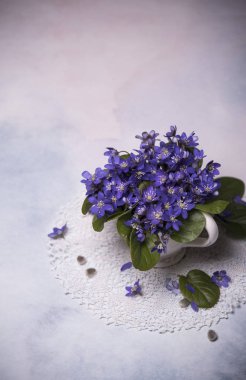 lekeli arka planda menekşe çiçekler yakın 