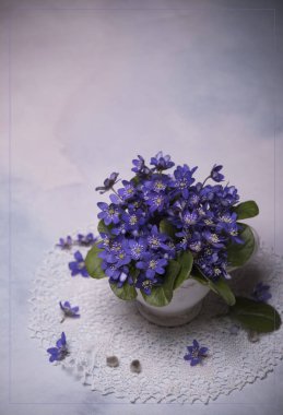 lekeli arka planda menekşe çiçekler yakın 