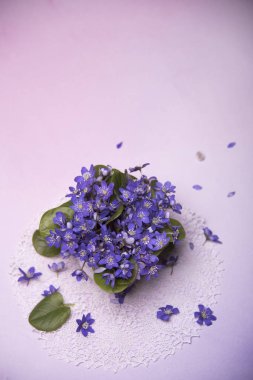 lekeli arka planda menekşe çiçekler yakın 