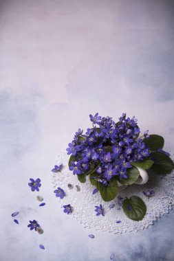 lekeli arka planda menekşe çiçekler yakın 