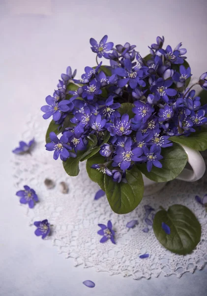 Gros Plan Fleurs Violettes Sur Fond Teinté — Photo
