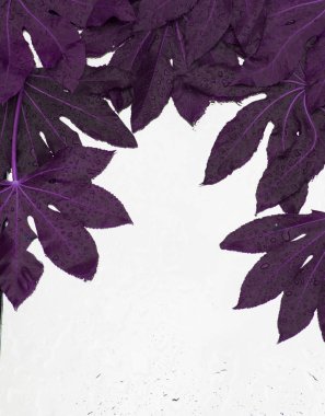 kopya alanı ile çerçeve bırakır