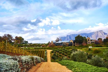 Stellenbosch, Güney Afrika, yaklaşık 50 kilometre (31 mil) Cape Town, Stellenbosch dağ eteklerinde, Eerste Nehri kıyısında yer alan Batı Cape il bir şehirdir. İkinci en eski Avrupa yerleşim 