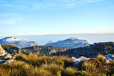 Masa Dağı Milli Parkı, daha önce Cape Yarımadası Milli Parkı olarak bilinen bir Milli Parkı Cape Town Afrika, Güney 29 Mayıs 1998'de, doğal çevrenin tablo dağ zinciri korumak amacıyla ilan ve PA olduğunu