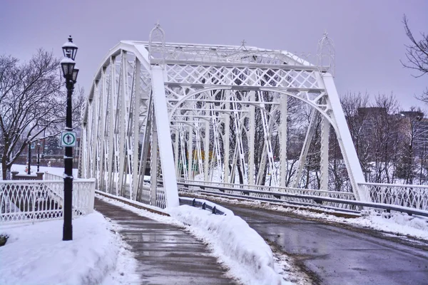 Gündüz Kışın kar fırtınası sırasında Ottawa, Kanada sayısı