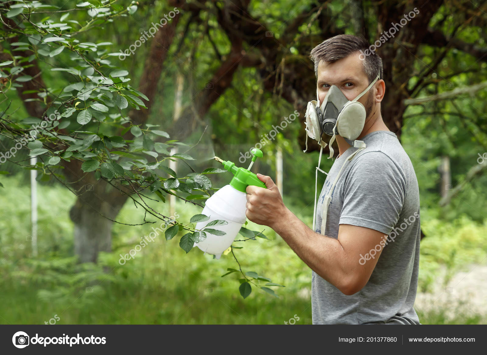 Man Respirator Sprinkles Plants Spraying Plants Garden Vegetable Garden Protective Stock Photo Image By C Markoaliaksandr 201377860