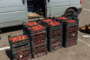 Taze çilek çilek kutularında, meyve hasat
