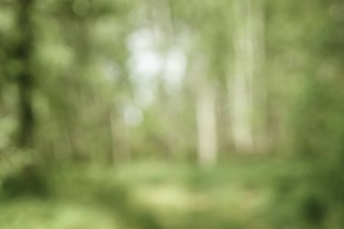 Soyut bulanık yeşillik ve parlak yaz güneş ışığı ve merkezi boşaltmak metin veya reklam için taze sağlıklı yeşil biyo arka plan