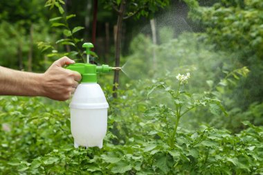 El ve Sıyırıcı yakın çekim vardır. Bahçe ve sebze fabrikaları püskürtme koruyucu sprey ile bahçe. Bitkiler zararlıları korunması. Ürün koruma. kopya alanı.