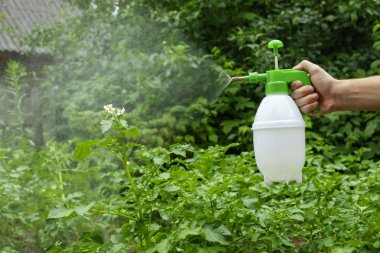 El ve Sıyırıcı yakın çekim vardır. Bahçe ve sebze fabrikaları püskürtme koruyucu sprey ile bahçe. Bitkiler zararlıları korunması. Ürün koruma. kopya alanı.
