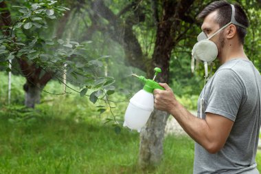 Solunum erkekte bitkiler sprinkles. Bahçe ve sebze fabrikaları püskürtme koruyucu sprey ile bahçe. Bitkiler zararlıları korunması. Ürün koruma. kopya alanı.