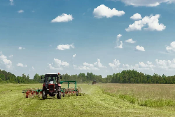 Agricultural machinery, a tractor collecting grass in a field against a blue sky. Hay harvesting, grass harvesting. Season harvesting, grass, agricultural land.