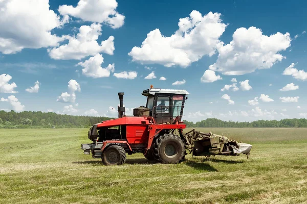 Tarım makineleri, mavi gökyüzü karşı bir alanda çim biçme hasat. Hasat saman, hasat çimen. Sezon hasat, çim, tarım arazisi.