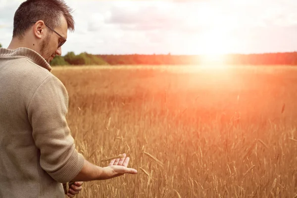 Bir çiftçi, kendi alanında daimi adamdır. Tarım arazisi, yeni teknolojiler, hasat, gübreleme, Ürün İnceleme.