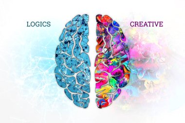 Bir insan beyni, üstten görünüm Illustration. İnsan beyni farklı yarısı. Mogah, sol hemisfer, hesaplama mantığı, şu yaratıcı yaratıcılık hemisfer kavramı.