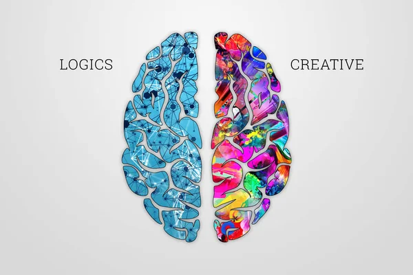 Ilustração Cérebro Humano Vista Superior Metades Diferentes Cérebro Humano Metade — Fotografia de Stock