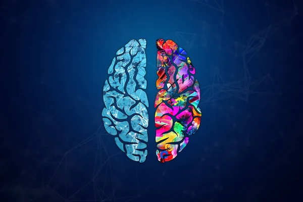 Illustration Cerveau Humain Vue Dessus Différentes Moitiés Cerveau Humain Moitié — Photo