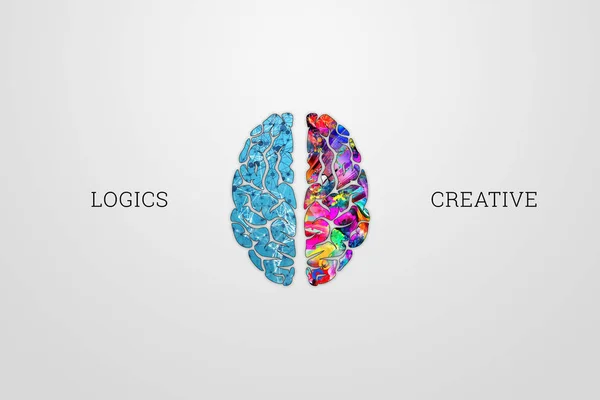 Ilustração Cérebro Humano Vista Superior Metades Diferentes Cérebro Humano Metade — Fotografia de Stock
