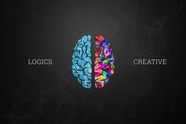 Illustration Human Brain Top View Different Halves Human Brain Creative — Stock Photo, Image