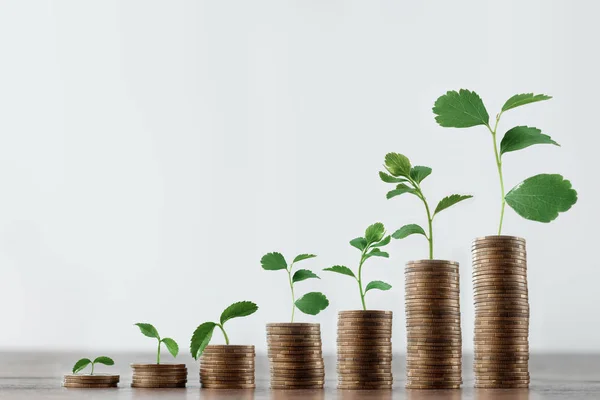 Deposit, coins on the table are laid out in stairs. The concept of bank and investment deposit, interest, money growth, bank deposit. Credit for business.