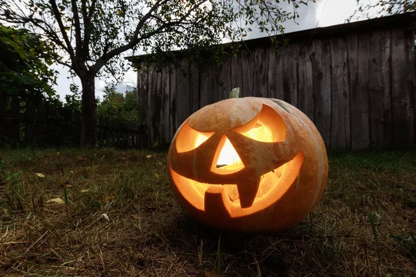 Halloween Pumpa Lykta Med Brinnande Ljus Mörk Bakgrund Mystisk Plats — Stockfoto