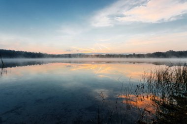 Güzel, kırmızı şafak göl kenarında. Sis sayesinde güneş ışınları. Göl üzerinde mavi gökyüzü, sabah geliyor, orman suya yansıyan.