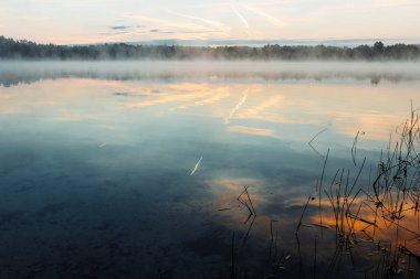 Güzel, kırmızı şafak göl kenarında. Sis sayesinde güneş ışınları. Göl üzerinde mavi gökyüzü, sabah geliyor, orman suya yansıyan.