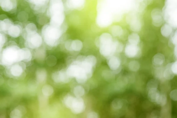Abstraktní Rozmazané Pozadí Zelené Přírody Krásný Bokeh Pojem Letní Zeleň — Stock fotografie