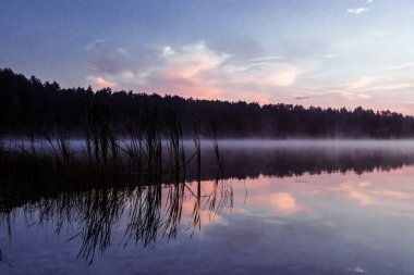 Güzel, pembe mor şafak göl üzerinde. Sis göl, Güneş, çok yoğun sis, şafak, göl üzerinde mavi gökyüzü ışınları üzerinde sabah geliyor, orman suda yansıtır.