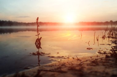 Güzel, pembe mor şafak göl üzerinde. Sis göl, Güneş, çok yoğun sis, şafak, göl üzerinde mavi gökyüzü ışınları üzerinde sabah geliyor, orman suda yansıtır.