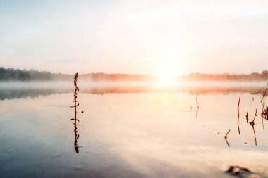 Güzel, kırmızı şafak göl kenarında. Sis sayesinde güneş ışınları. Göl üzerinde mavi gökyüzü, sabah geliyor, orman suya yansıyan.