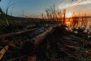 Pembe, turuncu, sarı ve mor bulutlar gökyüzünde ile ön planda drift bir parçası ile muhteşem günbatımı