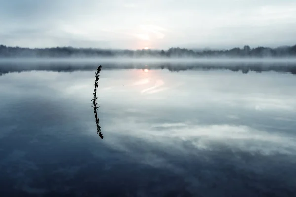 Fog Lake Twilight Lake Very Dense Fog Dawn Blue Sky — Stock Photo, Image