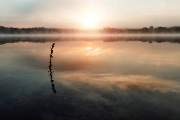 Beautiful, red dawn on the lake. The rays of the sun through the fog. The blue sky over the lake, the morning comes, the forest is reflected in the water.