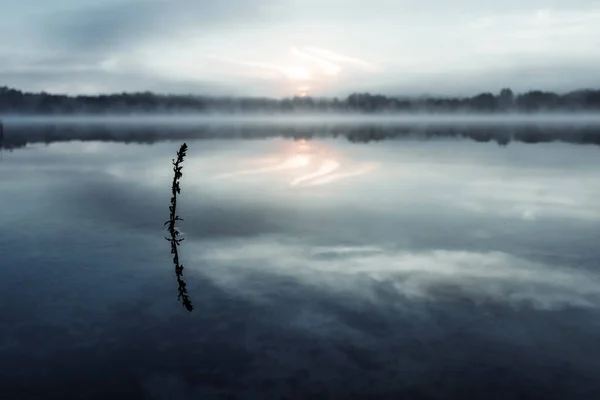 Fog Lake Twilight Lake Very Dense Fog Dawn Blue Sky — Stock Photo, Image