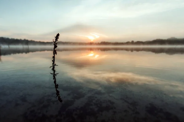 Beautiful Red Dawn Lake Rays Sun Fog Blue Sky Lake — Stock Photo, Image