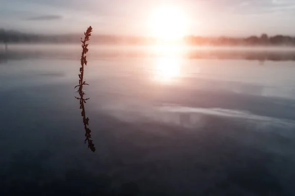 Туман Над Озером Сутінки Над Озером Дуже Щільний Туман Світанок — стокове фото