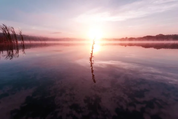 Belle Aurore Rose Violette Dessus Lac Brouillard Sur Lac Les — Photo