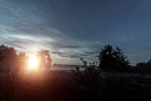 Таємничий Містичний Похмурий Пейзаж Заході Сонця Туман Над Лугом Магічна — стокове фото