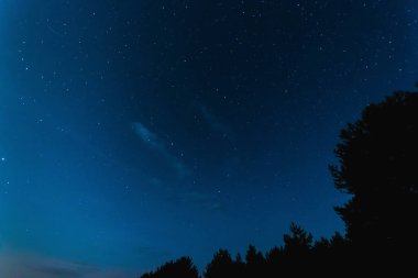 Yıldızlı gökyüzü, Samanyolu, güzel manzara, gece vakti, Beyaz Rusya.